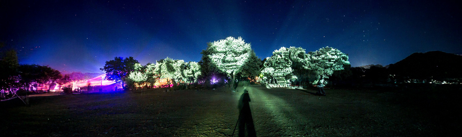2014 Boom Festival Tree mapping